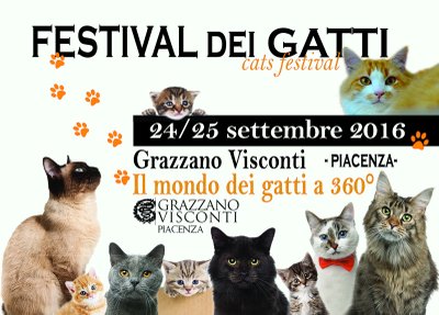 Festival dei Gatti 2016