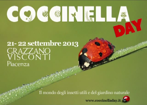 Coccinella Day il Video