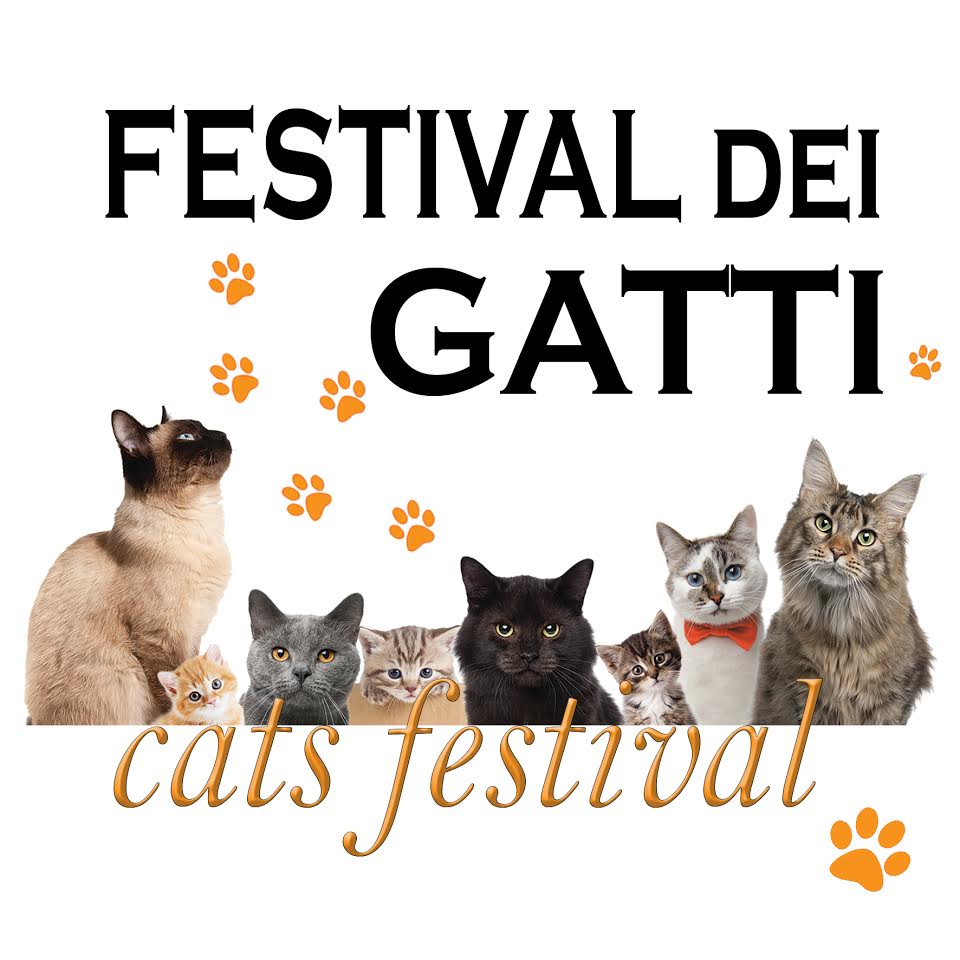 Festival dei Gatti